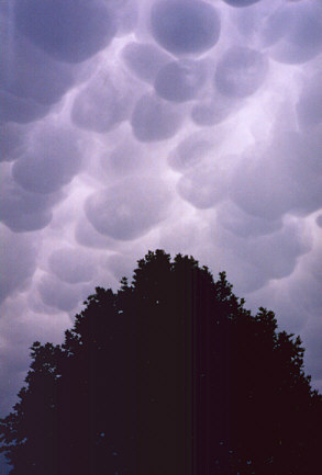 marshmallow clouds 2.jpg (24132 bytes)